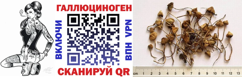 Псилоцибиновые грибы Magic Shrooms  Приозерск 